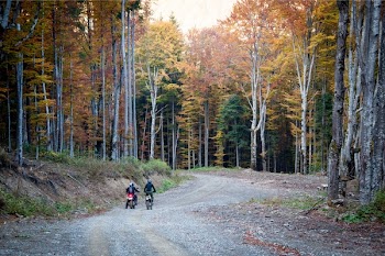 Free Photo of dirt bikes, motorbikes, bikers