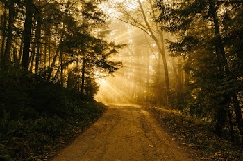 Free Photo of dirt, road, rural