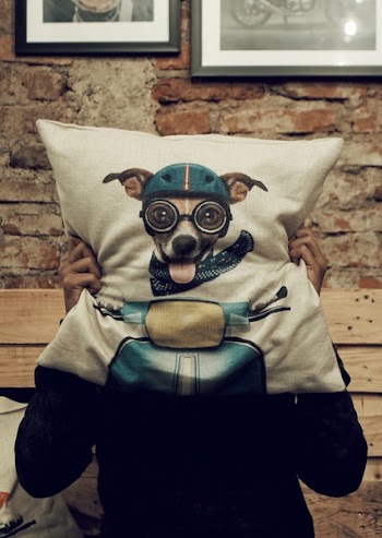 Free Photo of dog, cushion, man
