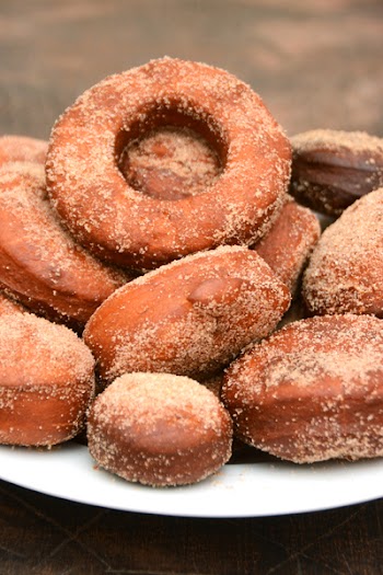 Free Photo of doughnuts, plate, cinnamon
