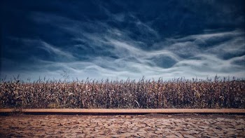 Free Photo of dramatic, sky, autumn