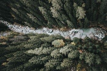 Free Photo of drone, river, wood