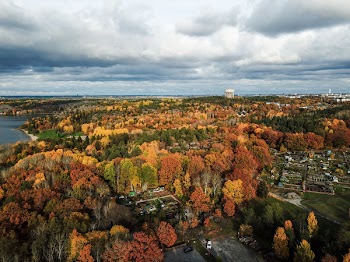 Free Photo of drone view, amazing, sweden