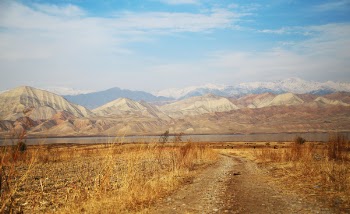 Free Photo of dry, drought, grass