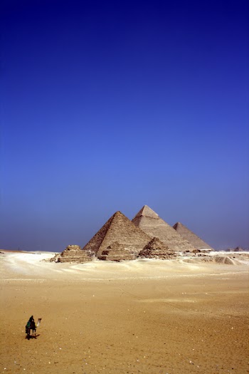 Free Photo of egypt, desert, animals