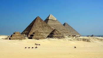 Free Photo of egypt, desert, animals