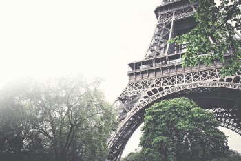 Free Photo of eiffel tower, architecture, trees