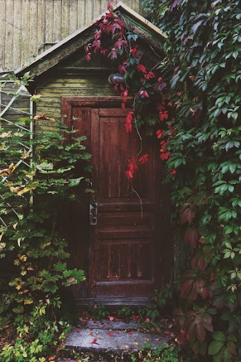 Free Photo of entrance, door, wood