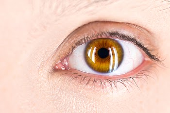 Free Photo of eye, human eye, focus