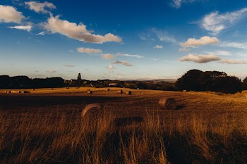 Free Photo of farm, fields, hay