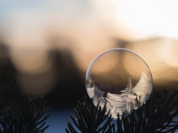 Free Photo of feather, dream catcher, nature