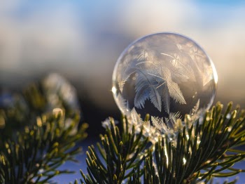 Free Photo of feather, dream catcher, nature