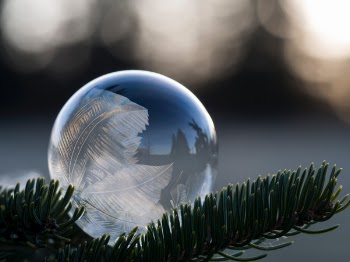 Free Photo of feather, dream catcher, nature
