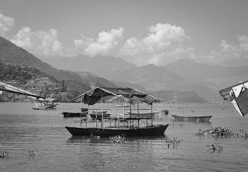 Free Photo of Fewa Lake, boats, water