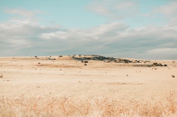 Free Photo of field, dry, drought