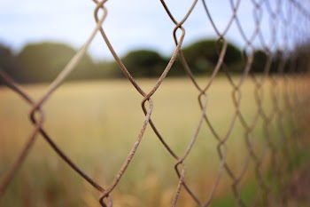 Free Photo of field, grass, clouds