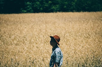 Free Photo of field, man, alone