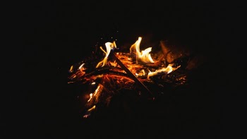 Free Photo of fire, camp, woods