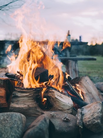 Free Photo of fire, camp, woods