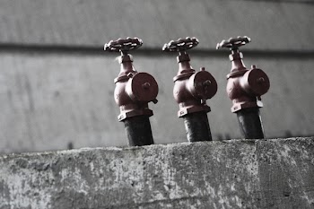 Free Photo of fire hydrant, sprinklers, hose
