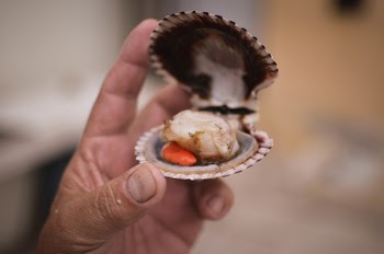 Free Photo of fisherman, oyster, fishing