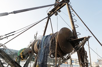 Free Photo of fishing net, boats, harbor