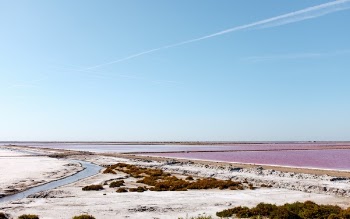 Free Photo of fishpond, sea, water