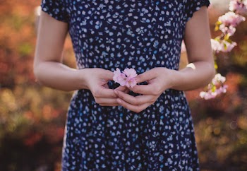 Free Photo of flower, nature, plant