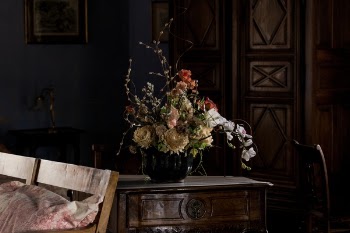 Free Photo of flower, nature, vase