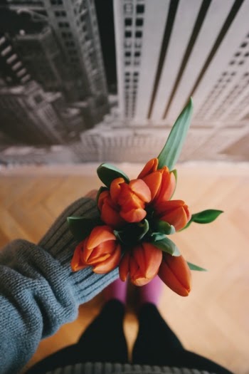 Free Photo of flower, orange, petal