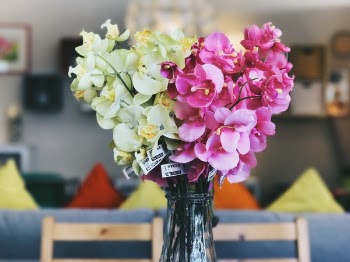 Free Photo of flower, petal, bloom