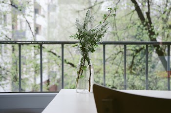 Free Photo of flower, plant, vase