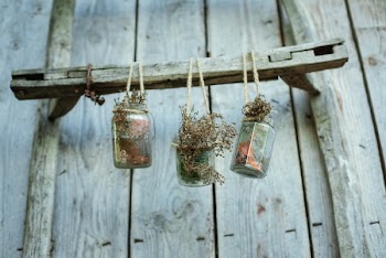 Free Photo of flower, vase, hang
