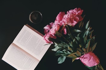 Free Photo of flowers, nature, blossoms