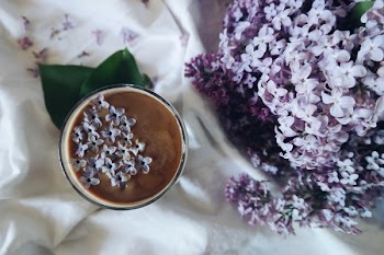 Free Photo of flowers, nature, blossoms