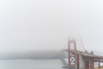 Free Photo of fog, land, plants