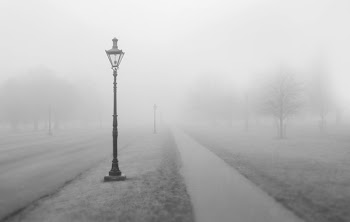 Free Photo of foggy, lamp post, sidewalk