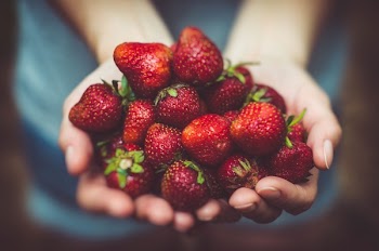 Free Photo of food, eat, fruits