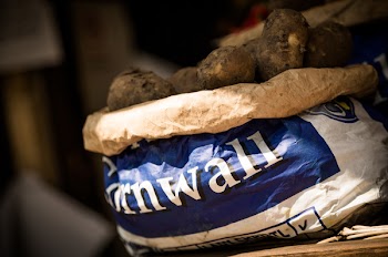 Free Photo of food, harvest, potatoes
