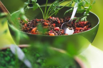 Free Photo of food, healthy, diet