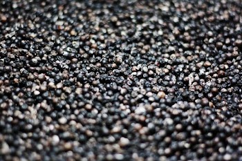 Free Photo of food, spice, pepper