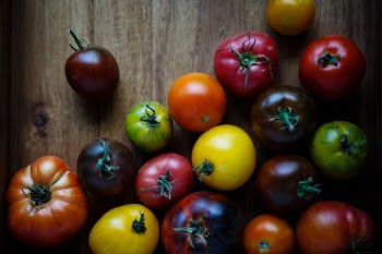Free Photo of food, vegetables, rounds