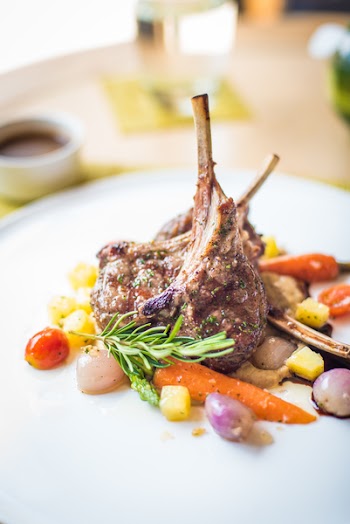 Free Photo of food, viand, delicious