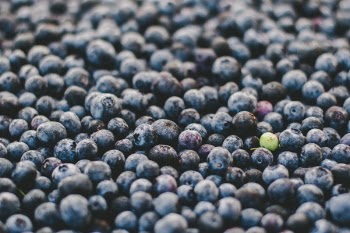 Free Photo of fruit, round, blueberries