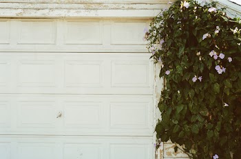 Free Photo of garage door, white, plant