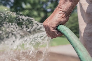 Free Photo of garden hose, gardener, water