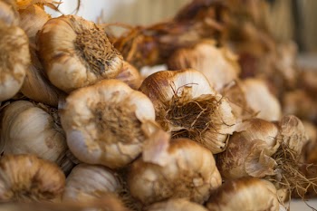 Free Photo of garlic, cloves, good