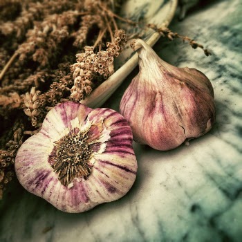Free Photo of garlic, vegetable, spices