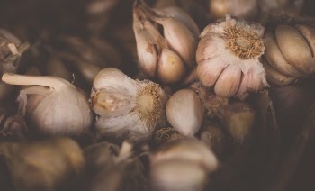 Free Photo of garlic, vegetable, spices