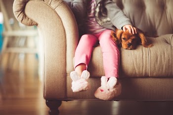 Free Photo of girl, child, person